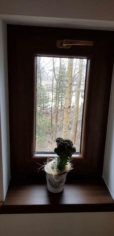 Osada Nad Potokiem
