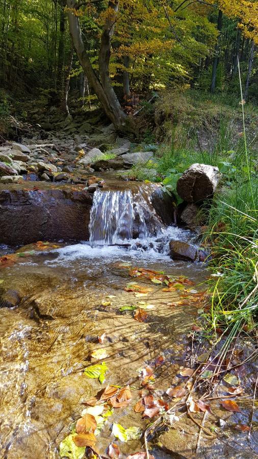 Будинок відпочинку Osada Nad Potokiem